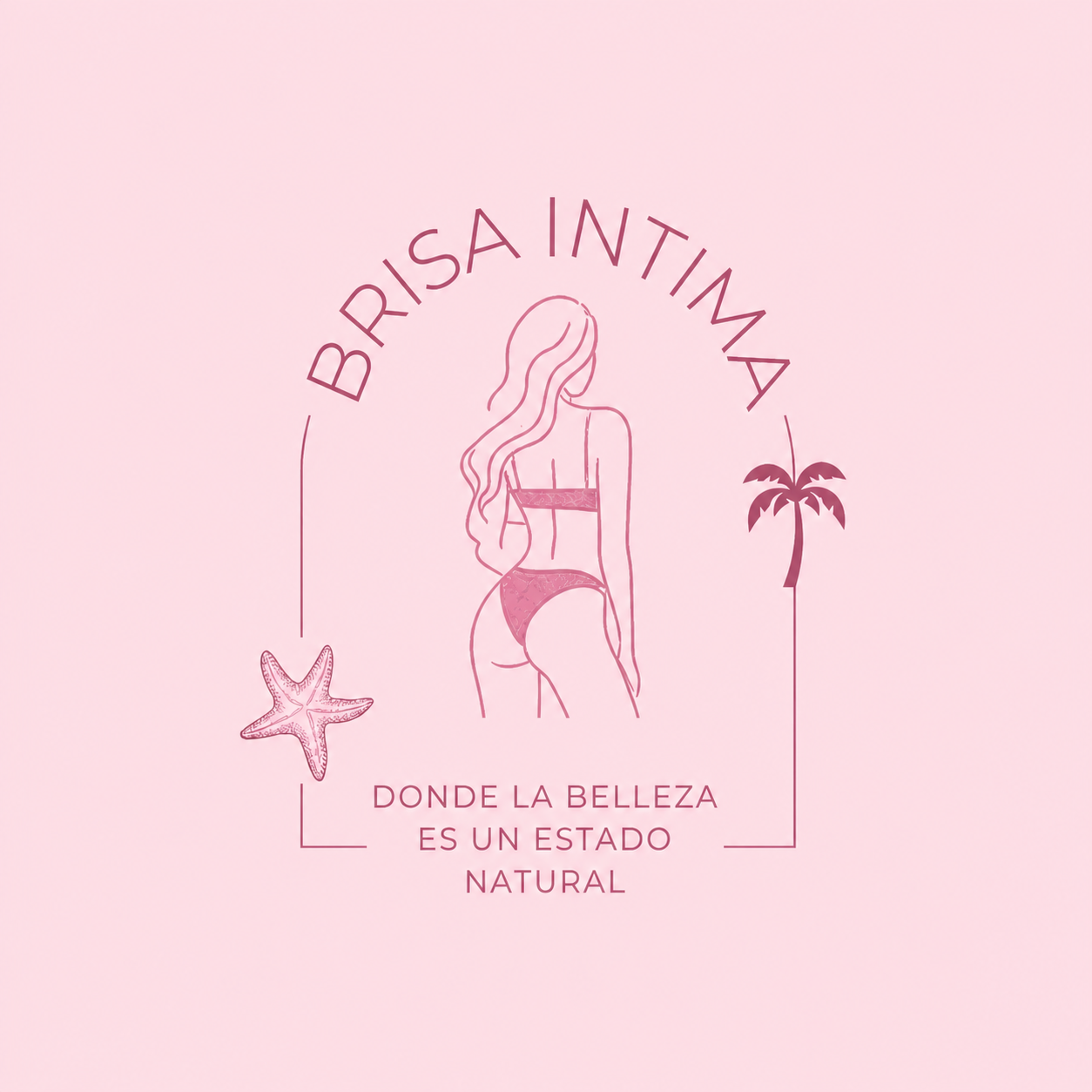 Logo de Brisa Íntima
