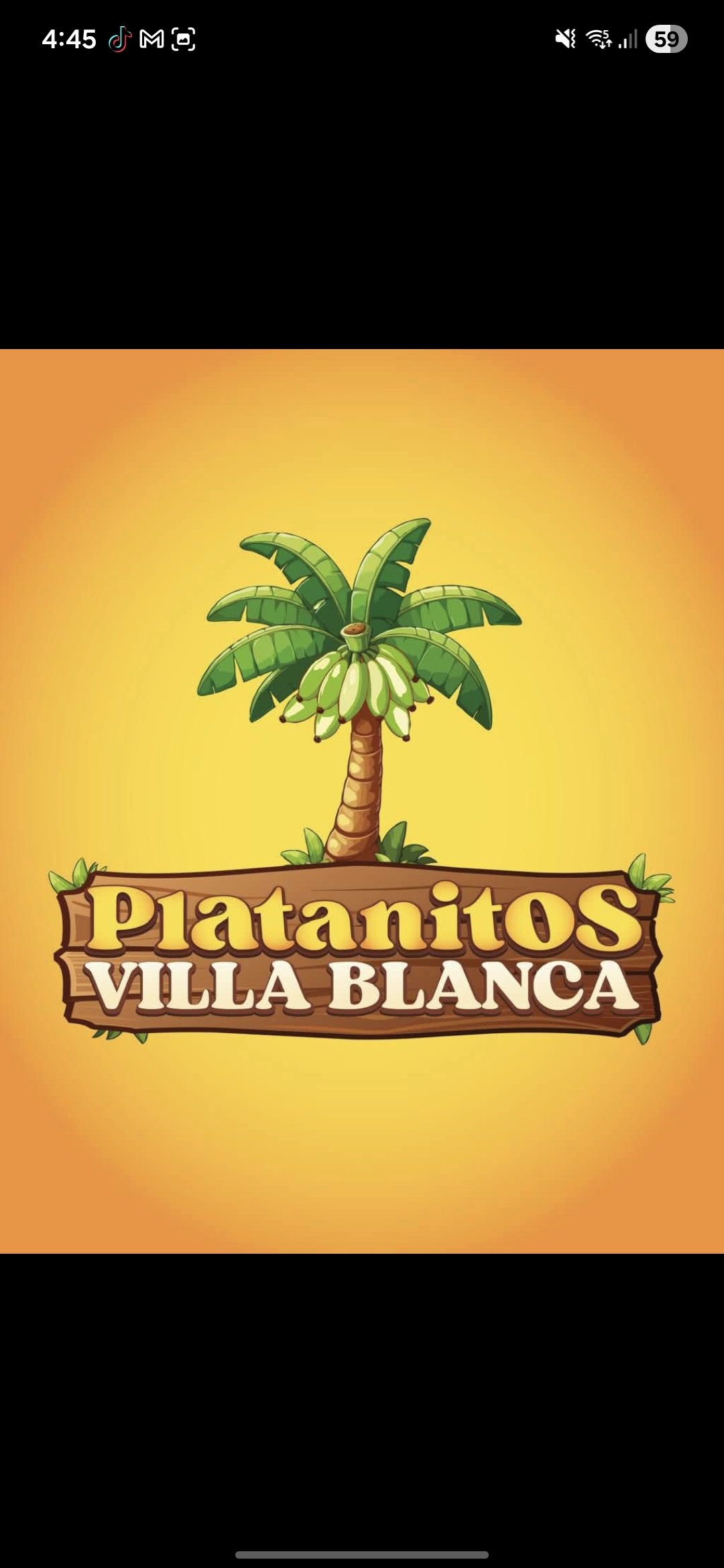 Logo de Platanitos Villa Blanca